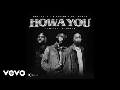 Shaunmusiq &amp; Ftears x Daliwonga - Howa You (Official Audio)